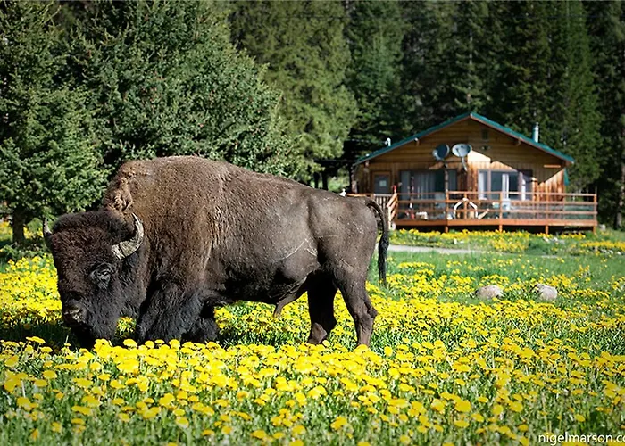 Silver Gate Lodging
