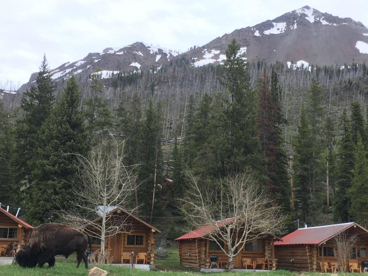 Motel Silver Gate Cooke City